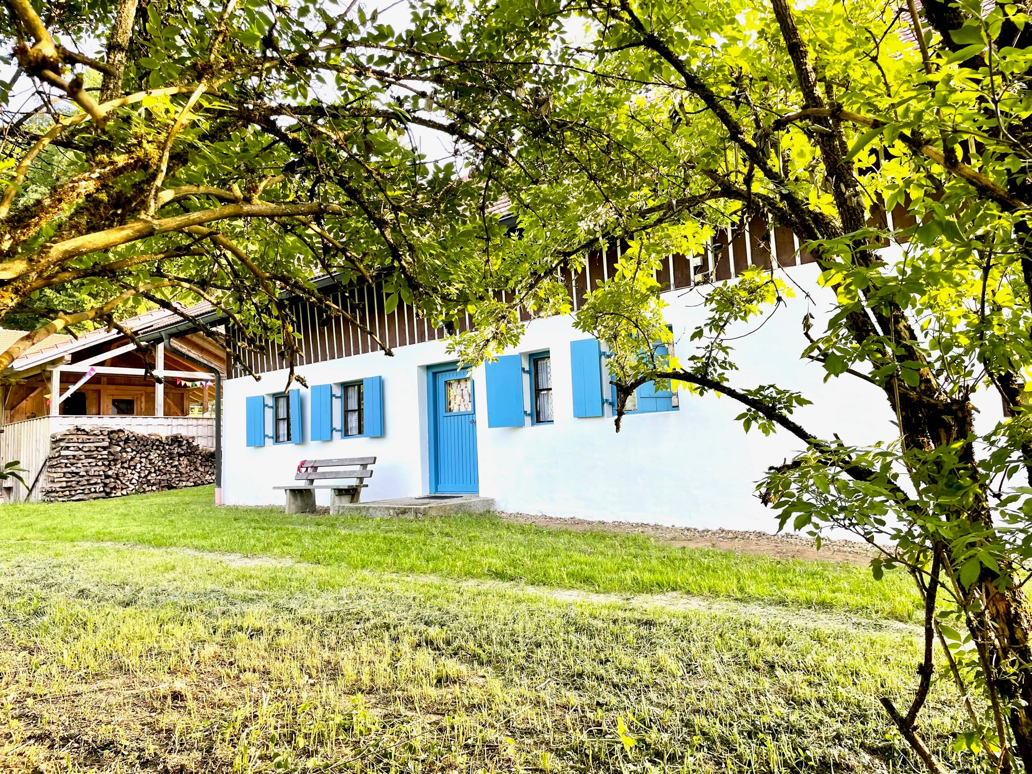 Bauernhaus Eckhütt Eins — Front durch einen Baum gerahmt