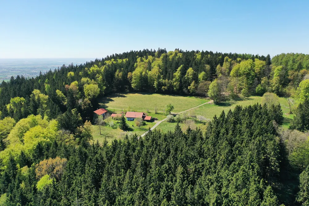 Blühende Wiese vor dem Haus am Waldrand
