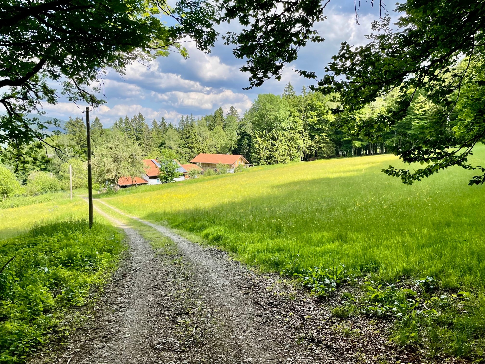 Zufahrt durch die Wiese zum Bauernhaus in der Ferne