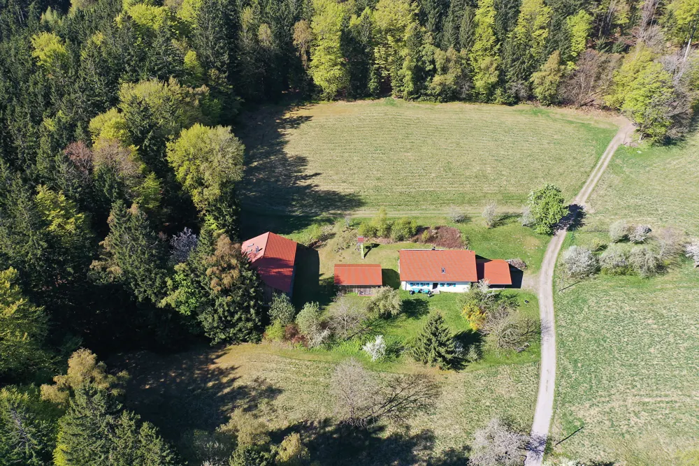 Zufahrt durch die Wiese zum Bauernhaus