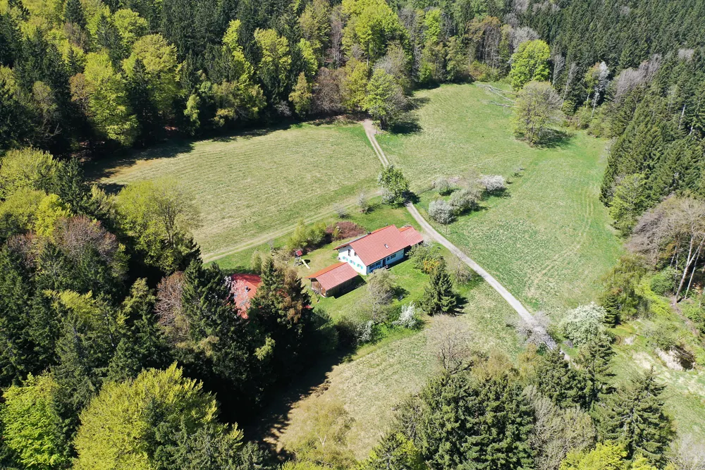 Luftbild der Lage: das Bauernhaus auf der Waldlichtung im Bayerischen Wald