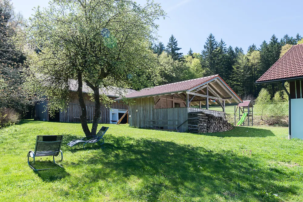 Obstb&auml;ume und Vogelhabitat
