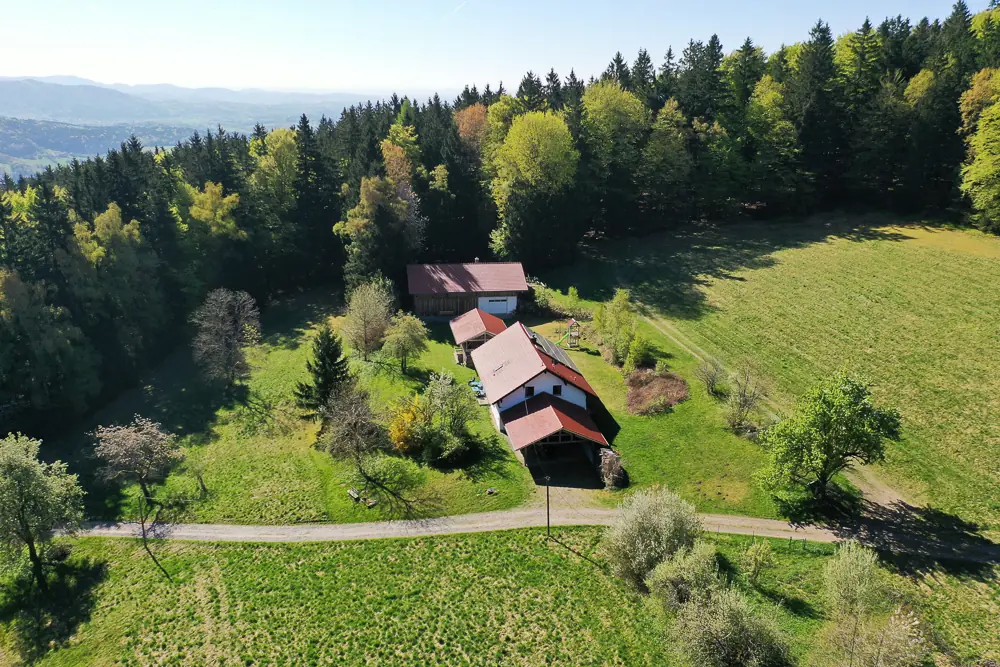 Luftaufnahme von Eckhütt Eins: ein einzelnes Bauernhaus in Alleinlage auf einer Waldlichtung im Bayerischen Wald