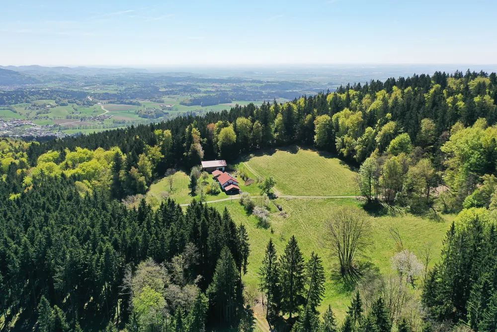 Mischwald im Bayerischen Wald